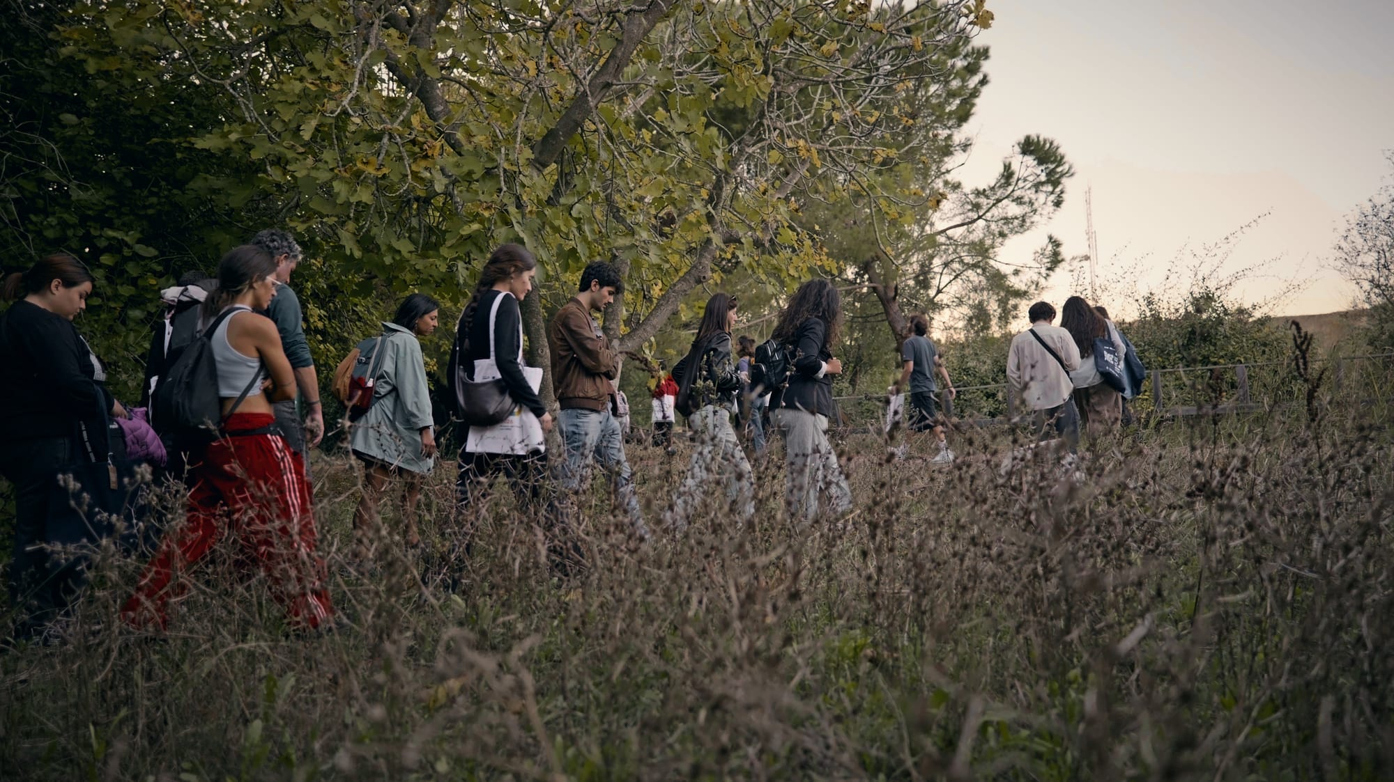 Una fila di persone attraversa l’erba alta del parco al crepuscolo.